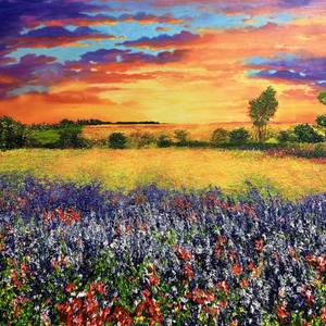 Where Wildflowers Meet the Sky