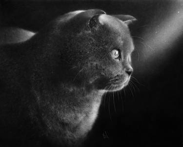 Original Cats Painting by Artem R