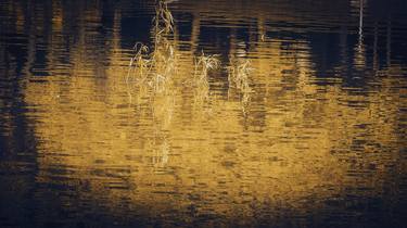 Original Abstract Expressionism Nature Photography by Hua Huang