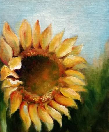 Sunflower - A new hope thumb
