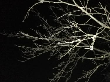 Original Abstract Expressionism Abstract Photography by Michaelmichael Mernik
