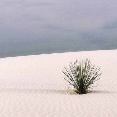 White Sands, NM - Limited Edition 1 of 50 thumb
