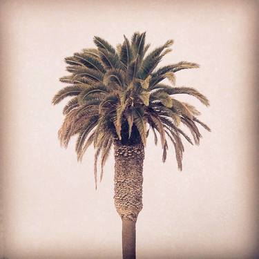 Palm Tree - Limited Edition 1 of 50 thumb