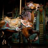 Granny's Folly - Limited Edition of 25 by Patricia Hussey