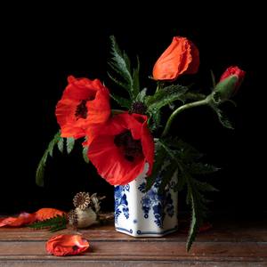 Vanitas with Poppies 759