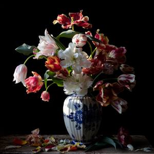 Vanitas with Tulips 748