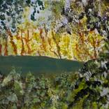 Tranquil. Acrylic Abstract Expressionism Painting on Paper by Isaiah Moore