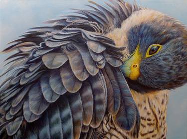 Original Realism Animal Painting by Chamindra De S Abeyewickreme