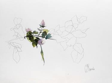 Print of Impressionism Floral Paintings by Cecilia Marchan