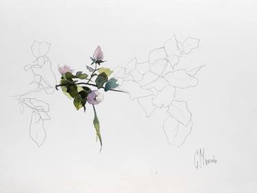 Original Impressionism Floral Paintings by Cecilia Marchan