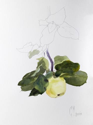 Print of Botanic Paintings by Cecilia Marchan