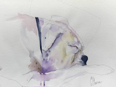 Original Dogs Paintings by Cecilia Marchan