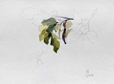 Print of Minimalism Botanic Paintings by Cecilia Marchan