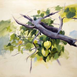 Quinces on branch 2