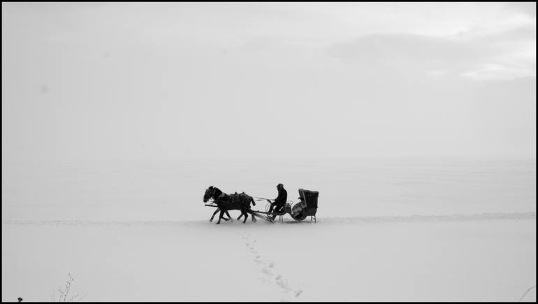 Original Horse Photography by Eren Cevik