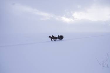 Original Documentary Horse Photography by Eren Cevik