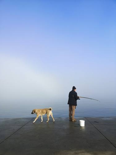 Original Documentary Dogs Photography by Eren Cevik