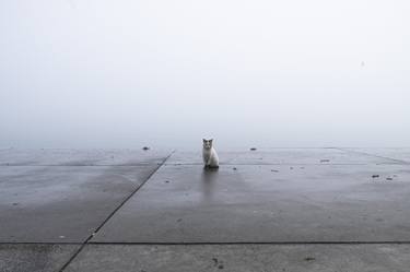 Cat on the Foggy day - Limited Edition of 7 thumb