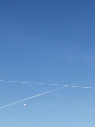 Original Contemporary Nature Photography by Afsoon Elmy