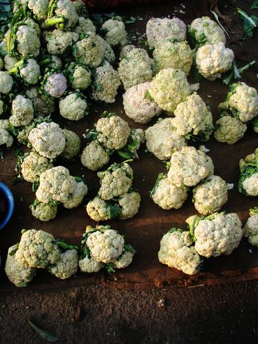 Cauliflowers of KR market - Limited Edition 1 of 16 thumb