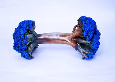 Heavy Metal Vegetable: Bronzecast cauliflower barbell blue thumb