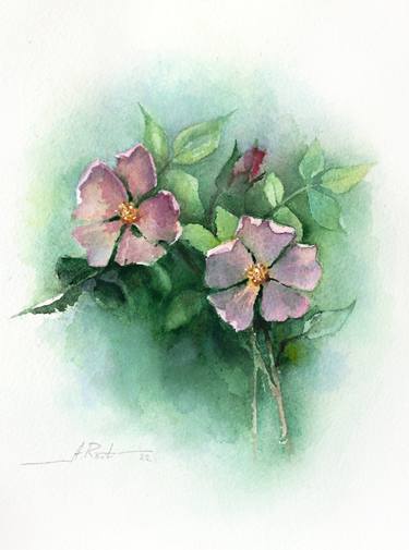 Print of Floral Paintings by Alena Root