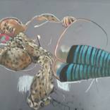 Amanda 2 by Eileen Healy