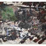 The Cleanse by Sheena Studenovic Redmond
