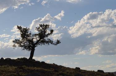 Wyoming Prairie - Limited Edition 4 of 15 thumb