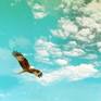 Breathing Space: Close-Up