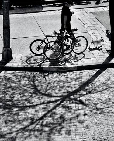 Original Bicycle Photography by hosein ghazian