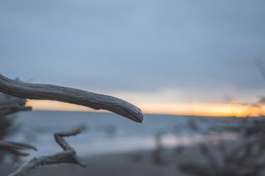 Original Realism Beach Photography by Anne Hoffman