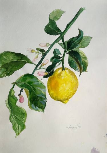 Print of Food Paintings by Anna Silabrama