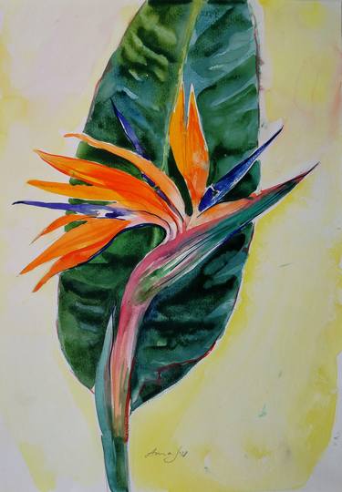 "Strelitzia Plant'' thumb