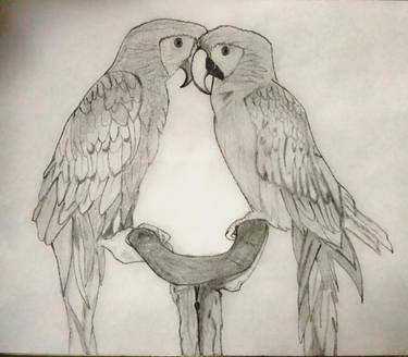 Lovebirds Drawing By Dilli Ganapathy Saatchi Art