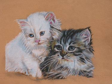 Two Cats Scratch Art