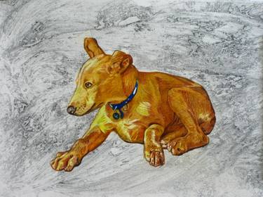 Original Colored Pencil Drawing Dog Sitting On Sand thumb