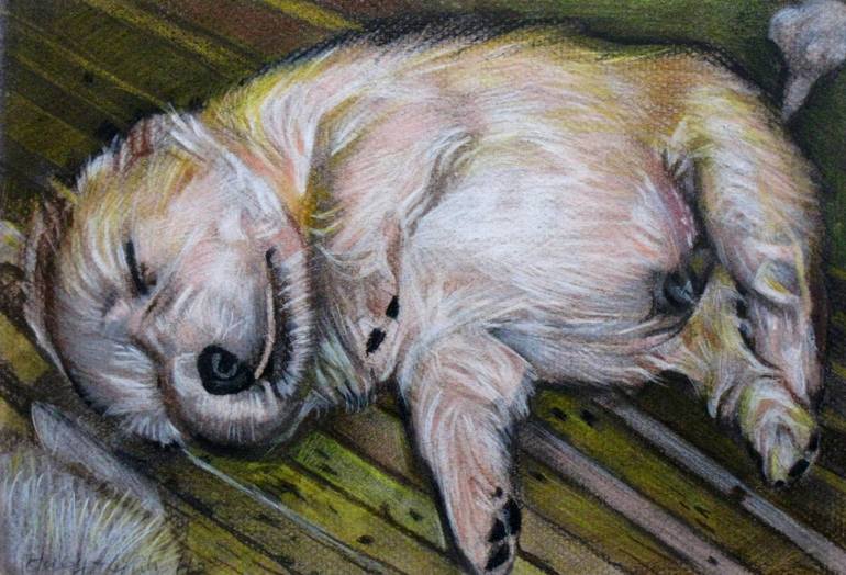 easy animal colored pencil drawings