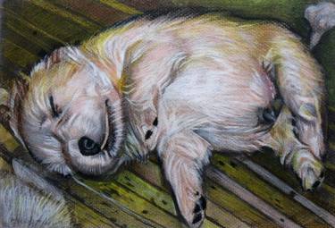 Print of Fine Art Dogs Drawings by Huey-Chih Ho