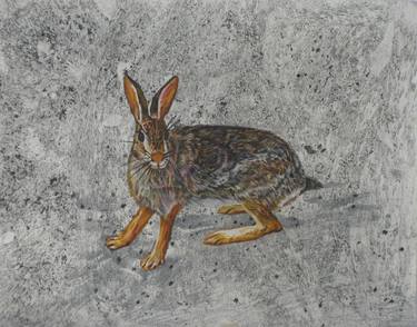 Rabbit Colored Pencil Drawing thumb