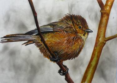 Original Fine Art Animal Drawings by Huey-Chih Ho