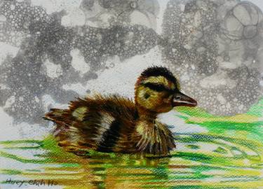Duck Playing in water thumb