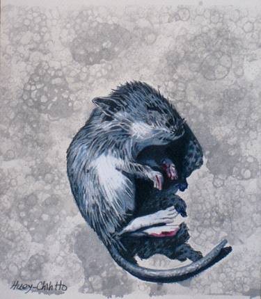 Print of Fine Art Animal Drawings by Huey-Chih Ho