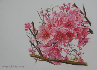 Original Fine Art Floral Drawings by Huey-Chih Ho