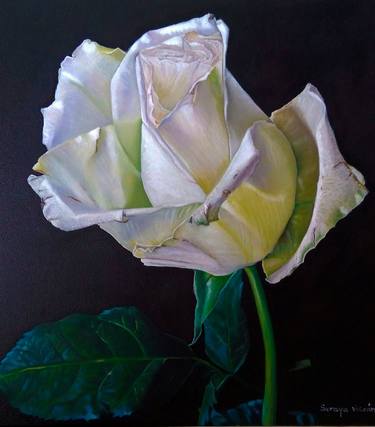 "The White"  Allegory to the Mystic Virgin Rose thumb