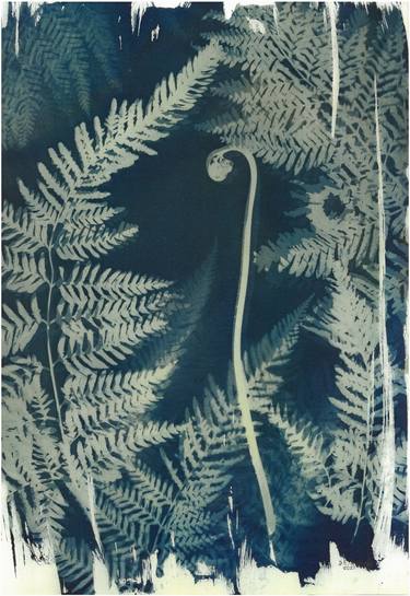 Print of Abstract Expressionism Botanic Printmaking by Desiree Elizabeth Malan