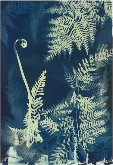 Original Abstract Botanic Printmaking by Desiree Elizabeth Malan