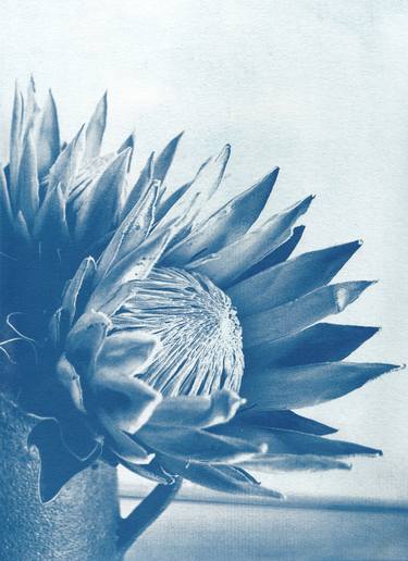 Print of Botanic Photography by Desiree Elizabeth Malan