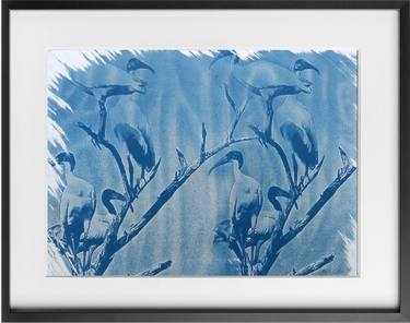 Print of Abstract Nature Printmaking by Nitiksha Dawar