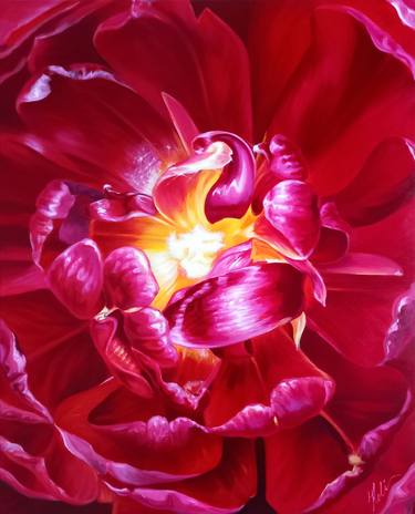 "Breath" - blooming burgundy tulip thumb
